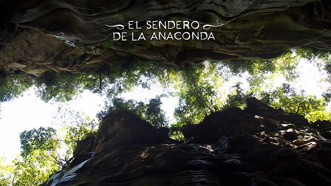 El sendero de la anaconda - Vitrinfotók