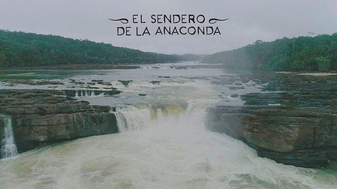 El sendero de la anaconda - Cartes de lobby