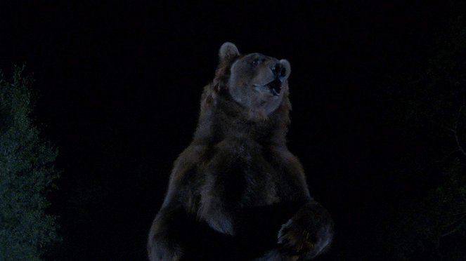 Berserker - Filmfotók - Bart a medve