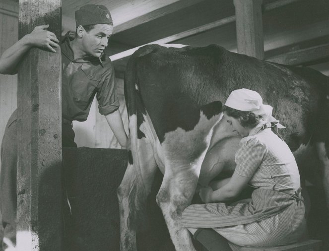 En vår i vapen - Photos - George Fant, Birgit Lindkvist