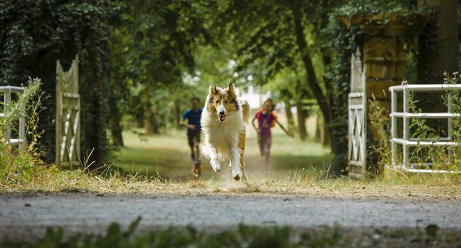 Lassie palaa kotiin - Kuvat elokuvasta