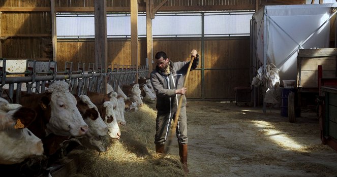 Cyrille, agriculteur, 30 ans, 20 vaches, du lait, du beurre, des dettes - De la película