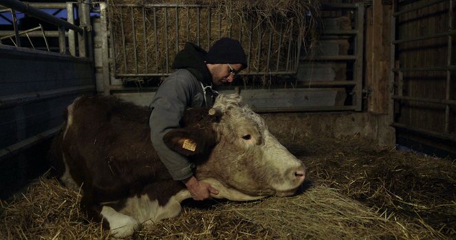 Cyrille, agriculteur, 30 ans, 20 vaches, du lait, du beurre, des dettes - Filmfotos