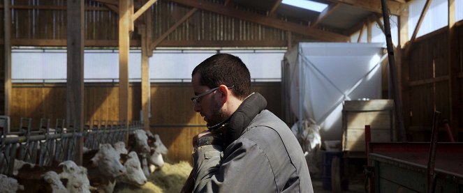 Cyrille, agriculteur, 30 ans, 20 vaches, du lait, du beurre, des dettes - Z filmu