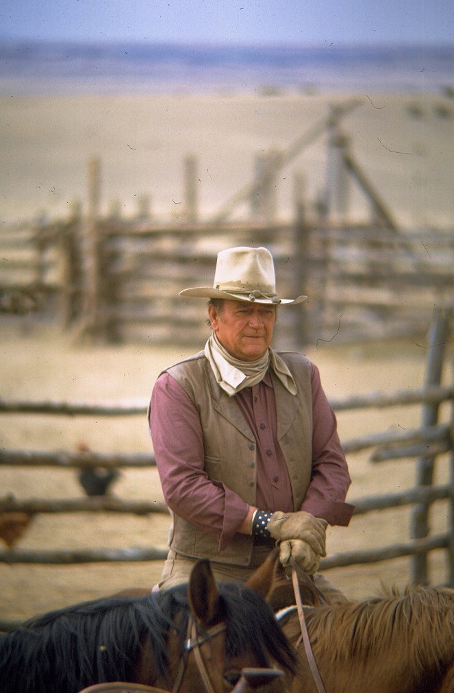 Rooster Cogburn - Photos