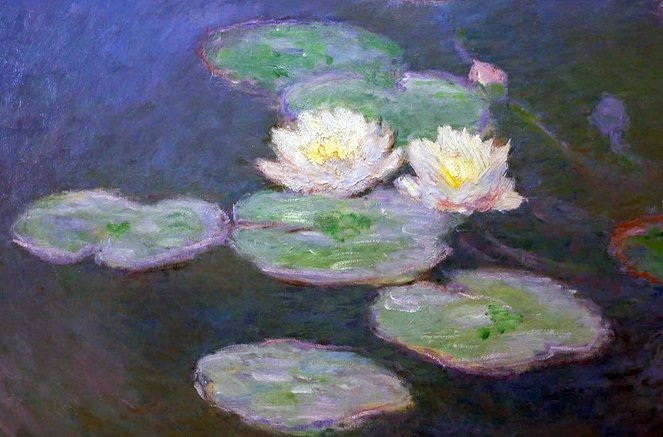 Claude Monet - In the Light of the Moment - Photos
