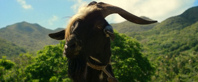 El día de la cabra - De la película