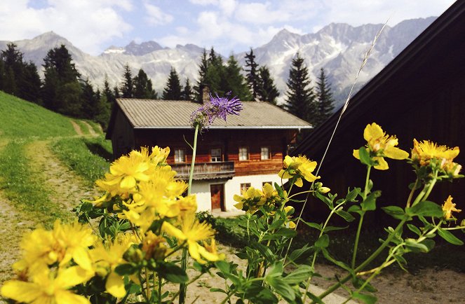 Kräuterwelten ... - Kräuterwelten der Alpen - Photos