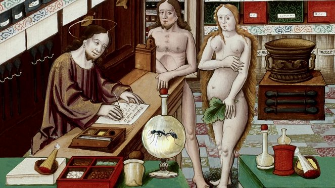 Taideteosten salaisuudet - La Dame au bain - Vers 1571 - François Clouet - Kuvat elokuvasta