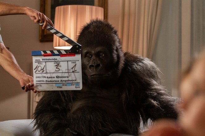 Vigyázat, gorilla! - Forgatási fotók