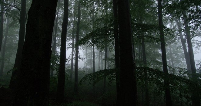 Vad erdők, vad bércek - A fantom nyomában - De la película