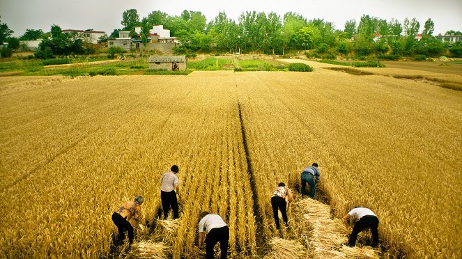 Yi zhi you dao hai shui bian lan - Filmfotos