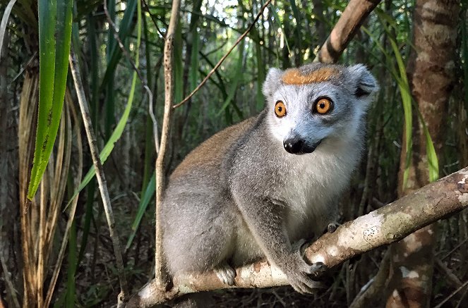 Unbekanntes Madagaskar - Filmfotos