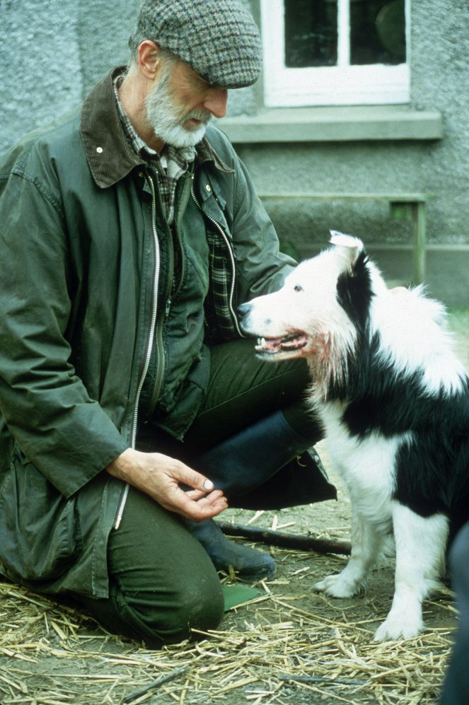 Bob, a juhászkutya - Filmfotók - James Cromwell