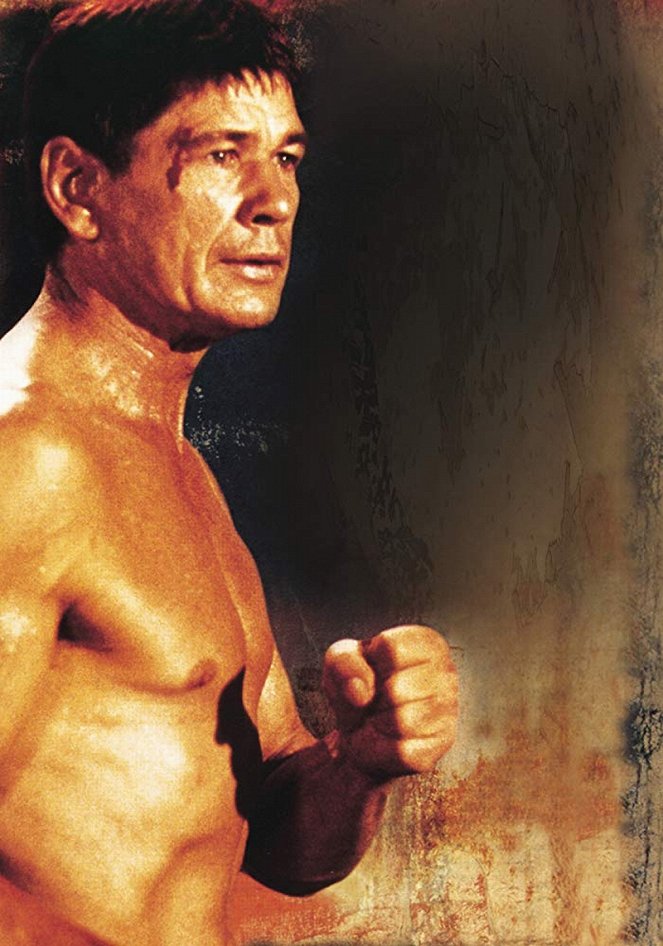 The Streetfighter - Photos - Charles Bronson