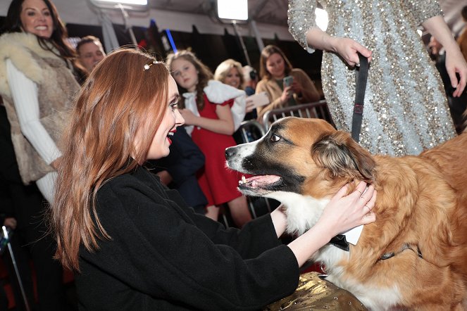 Volání divočiny - Z akcí - World premiere of The Call of the Wild at the El Capitan Theater in Los Angeles, CA on Thursday, February 13, 2020 - Karen Gillan