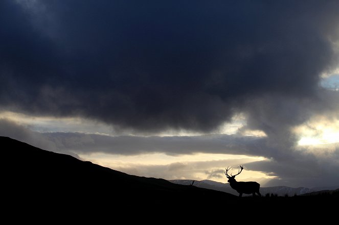 Schottland - Der Ruf der Wildnis - Filmfotos
