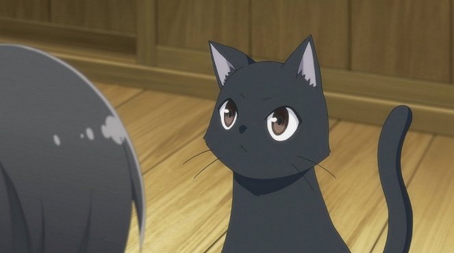 Flying Witch - Premier miracle en 6 ans - Film