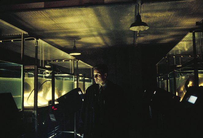 Akte X - Das Labor - Filmfotos - David Duchovny