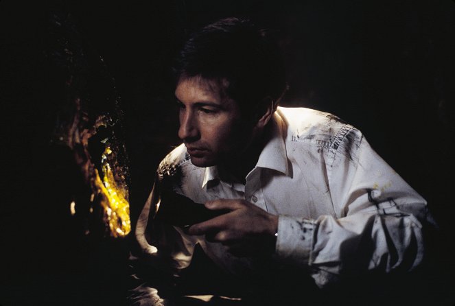 The X-Files - Tooms - Photos - David Duchovny