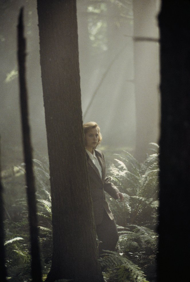 The X-Files - Conduit - Van film - Gillian Anderson
