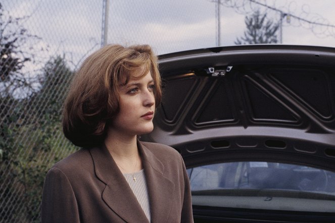 The X-Files - Season 1 - Deep Throat - Van film - Gillian Anderson