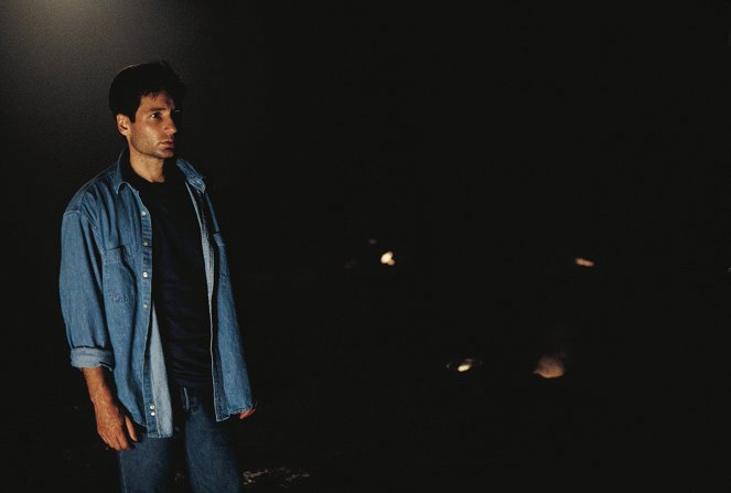 The X-Files - Firewalker - Van film - David Duchovny