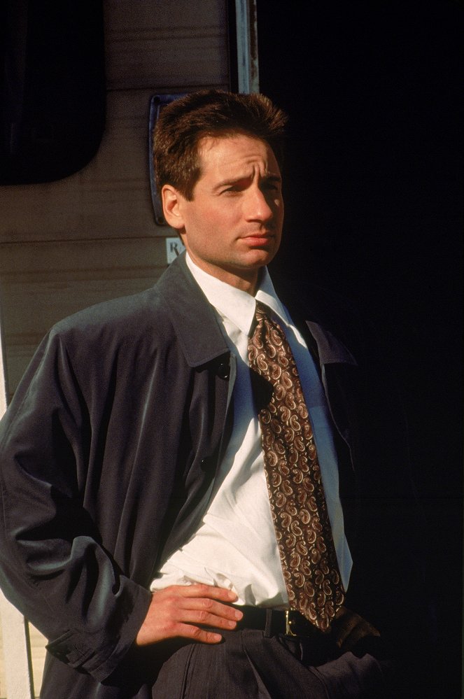 The X-Files - Faux frères siamois - Film - David Duchovny