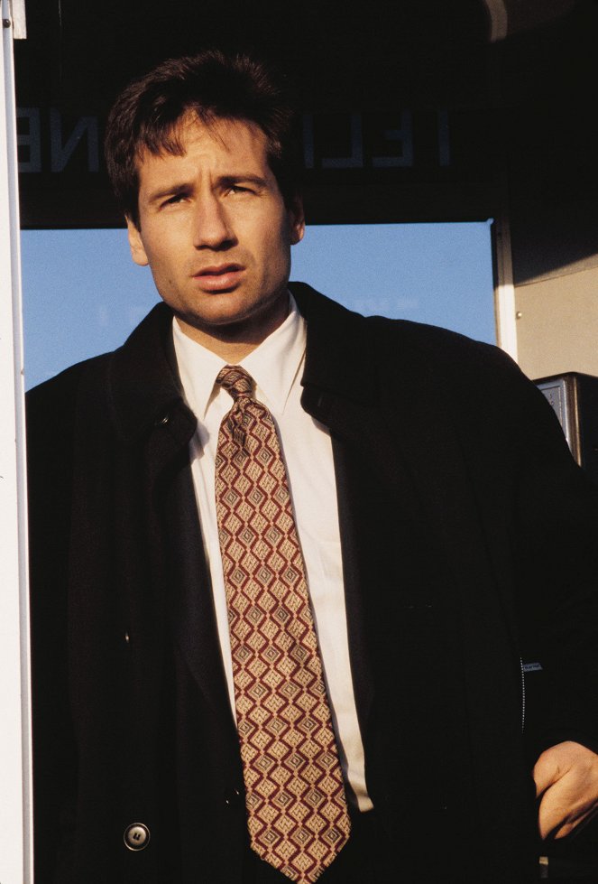 The X-Files - F. Emasculata - Photos - David Duchovny