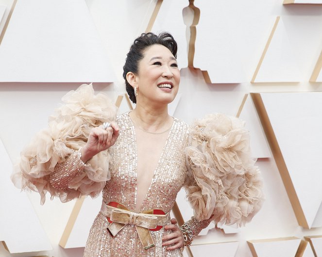 The 92nd Annual Academy Awards - Events - Red Carpet - Sandra Oh