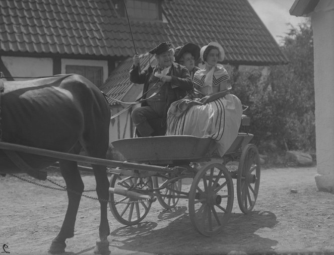 Livet på landet - Film - Axel Ringvall, Mona Mårtenson
