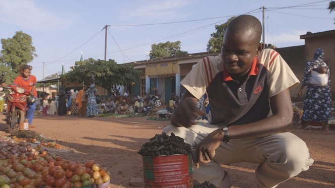 Dream the Future - L'Alimentation du futur - Photos