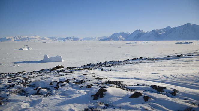 Medizin in fernen Ländern - Season 3 - Grönland – Arztbesuch in der Arktis - Filmfotos