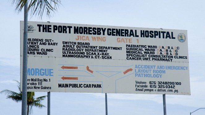 Médecines d'ailleurs - Papouasie-Nouvelle-Guinée - Le serment du serpent - Van film