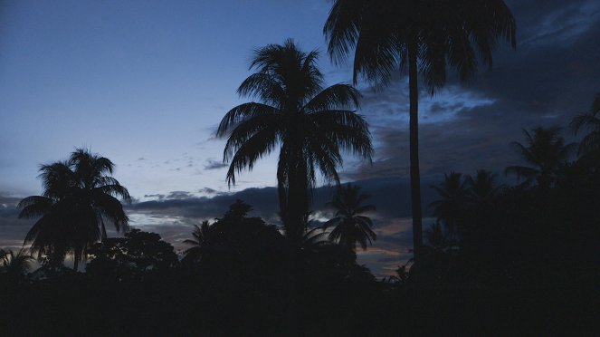 Médecines d'ailleurs - Papouasie-Nouvelle-Guinée - Le serment du serpent - De la película