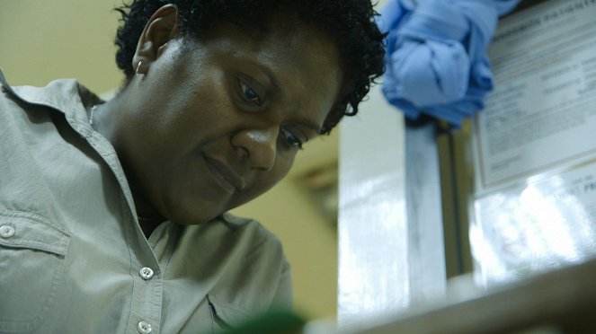 Tradičná medicína vo svete - Papouasie-Nouvelle-Guinée - Le serment du serpent - Z filmu