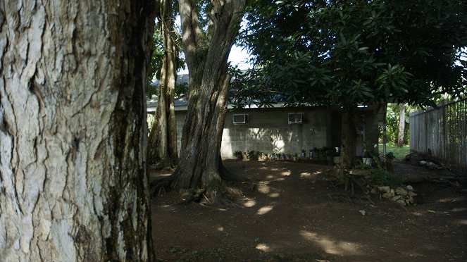 World Medicine - Papouasie-Nouvelle-Guinée - Le serment du serpent - Photos