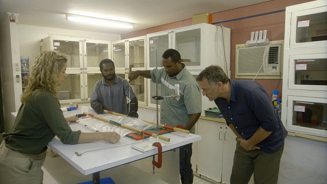 Médecines d'ailleurs - Papouasie-Nouvelle-Guinée - Le serment du serpent - Do filme - Bernard Fontanille