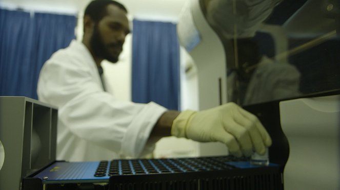 World Medicine - Papouasie-Nouvelle-Guinée - Le serment du serpent - Photos