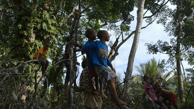 Medizin in fernen Ländern - Papua-Neuguinea – Der tödliche Biss der Taipan-Schlange - Filmfotos