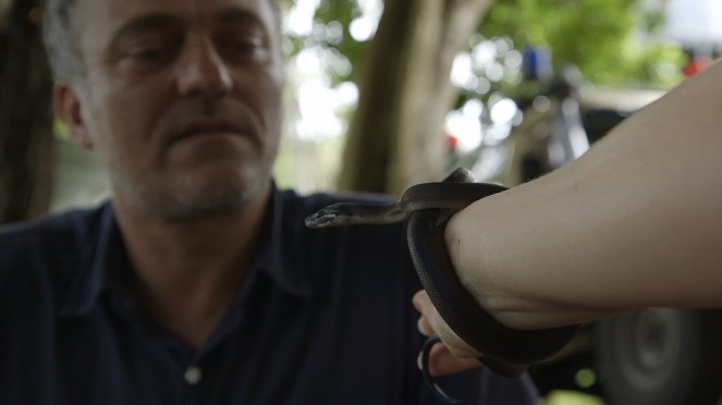 Médecines d'ailleurs - Season 3 - Papouasie-Nouvelle-Guinée - Le serment du serpent - Van film