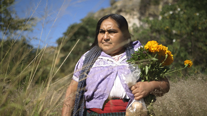 Mexique - La Médecine des Indiens zapotèques - 