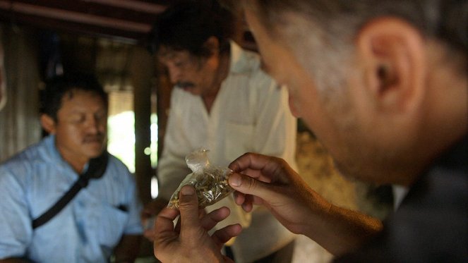 Tradičná medicína vo svete - Mexique - Les guérisseurs Maya - Z filmu