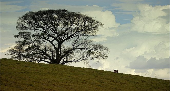 Estive em Lisboa e Lembrei de Você - Filmfotos