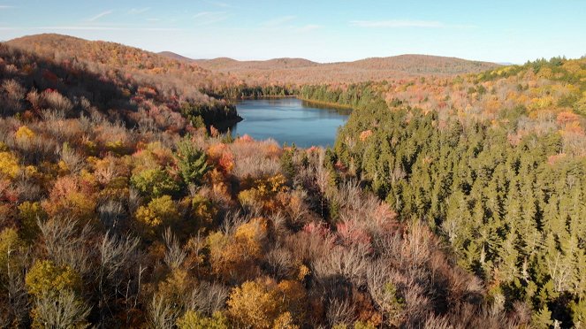 Le Retour de la nature sauvage - États-Unis : La renaissance des forêts de Nouvelle-Angleterre - Van film