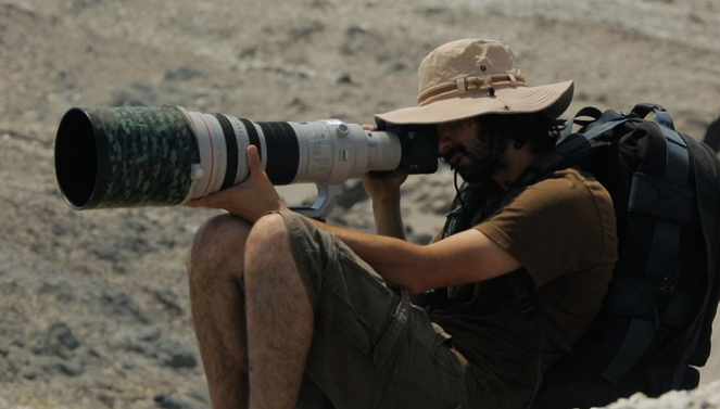Aventures en terre animale - Le Condor du Pacifique - Filmfotók - Guillaume Mazille