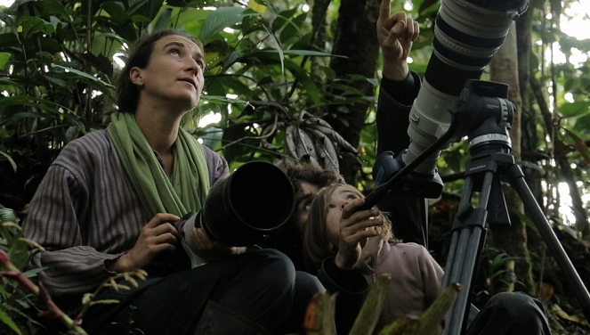 Aventures en terre animale - Le Singe laineux à queue dorée du Pérou - Van film - Marie Schneider