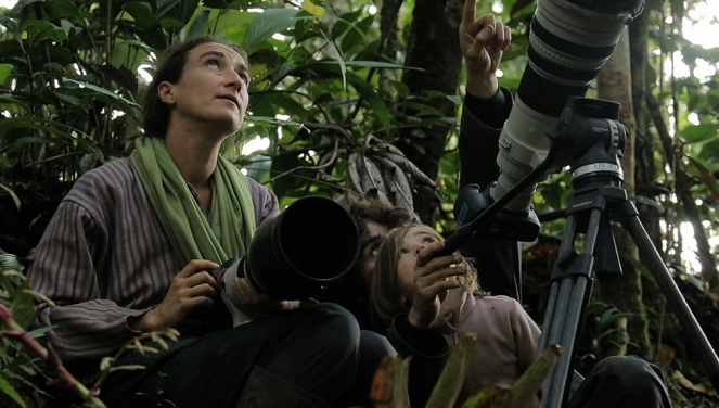 Aventures en terre animale - Le Singe laineux à queue dorée du Pérou - Film - Marie Schneider