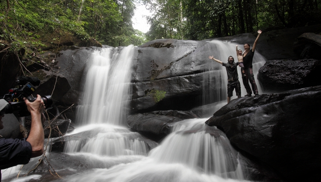 Aventures en terre animale - Les Insectes de Guyane - Film - Guillaume Mazille, Marie Schneider