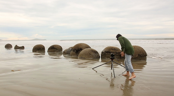 Aventures en terre animale - Le Weta de Nouvelle-Zélande - De la película
